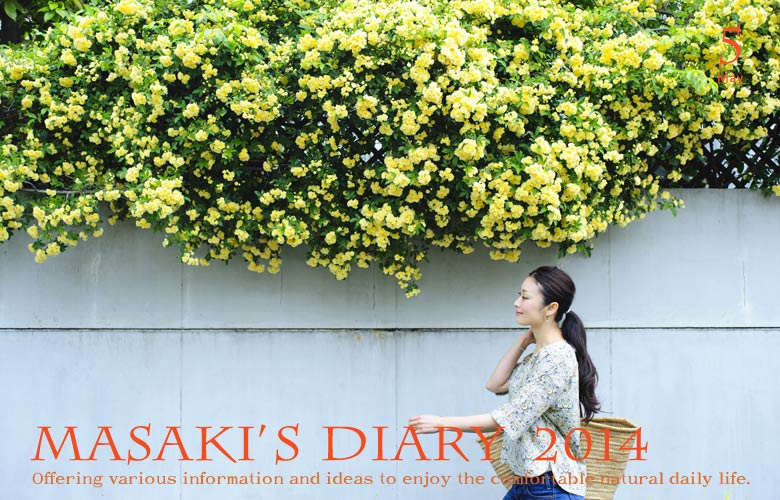 Masaki's diary May 2014